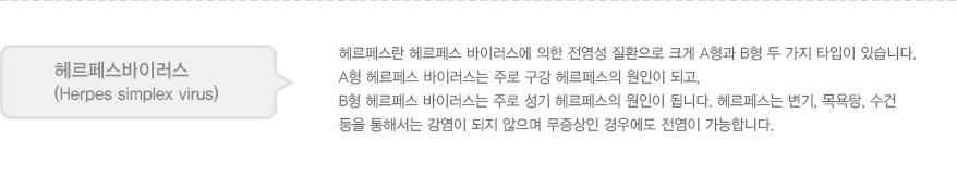 
							  헤르페스바이러스
							  (Herpes simplex virus)
							  헤르페스란 헤르페스 바이러스에 의한 전염성 질환으로 크게 A형과 B형 두 가지 타입이 있습니다.
							  A형 헤르페스 바이러스는 주로 구강 헤르페스의 원인이 되고,
							  B형 헤르페스 바이러스는 주로 성기 헤르페스의 원인이 됩니다. 헤르페스는 변기, 목욕탕, 수건
							  등을 통해서는 감염이 되지 않으며 무증상인 경우에도 전염이 가능합니다. 
							  