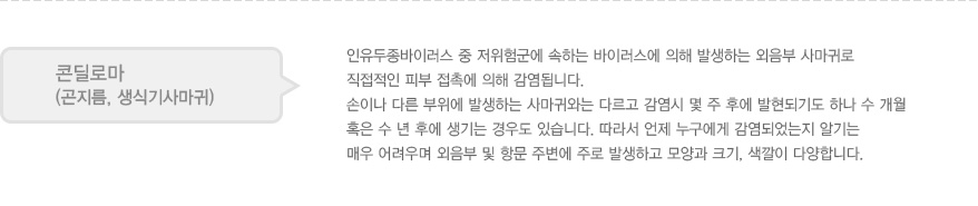 
							  콘딜로마
							  (곤지름, 생식기사마귀)
							  인유두종바이러스 중 저위험군에 속하는 바이러스에 의해 발생하는 외음부 사마귀로 
							  직접적인 피부 접촉에 의해 감염됩니다. 
							  손이나 다른 부위에 발생하는 사마귀와는 다르고 감염시 몇 주 후에 발현되기도 하나 수 개월 
							  혹은 수 년 후에 생기는 경우도 있습니다. 따라서 언제 누구에게 감염되었는지 알기는 
							  매우 어려우며 외음부 및 항문 주변에 주로 발생하고 모양과 크기, 색깔이 다양합니다. 
							  