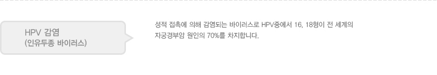 
							  HPV 감염
							  (인유두종 바이러스)
							  성적 접촉에 의해 감염되는 바이러스로 HPV중에서 16, 18형이 전 세계의 자궁경부암 원인의 70%를 차지합니다.
							  