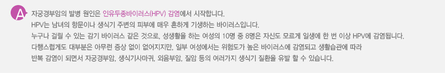 
							  자궁경부암의 발병 원인은 인유두종바이러스(HPV) 감염에서 시작합니다.
							  HPV는 남녀의 항문이나 생식기 주변의 피부에 매우 흔하게 기생하는 바이러스입니다.
							  누구나 걸릴 수 있는 감기 바이러스 같은 것으로, 성생활을 하는 여성의 10명 중 8명은 자신도 모르게 일생에 한 번 이상 HPV에 감염됩니다.
							  다행스럽게도 대부분은 아무런 증상 없이 없어지지만, 일부 여성에서는 위험도가 높은 바이러스에 감염되고 생활습관에 따라
							  반복 감염이 되면서 자궁경부암, 생식기사마귀, 외음부암, 질암 등의 여러가지 생식기 질환을 유발 할 수 있습니다.