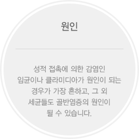 원인: 성적 접촉에 의한 감염인 임균이나 클라미디아가 원인이 되는 경우가 가장 흔하고, 그 외 세균들도 골반염증의 원인이 될 수 있습니다.