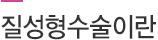 질성형수술이란